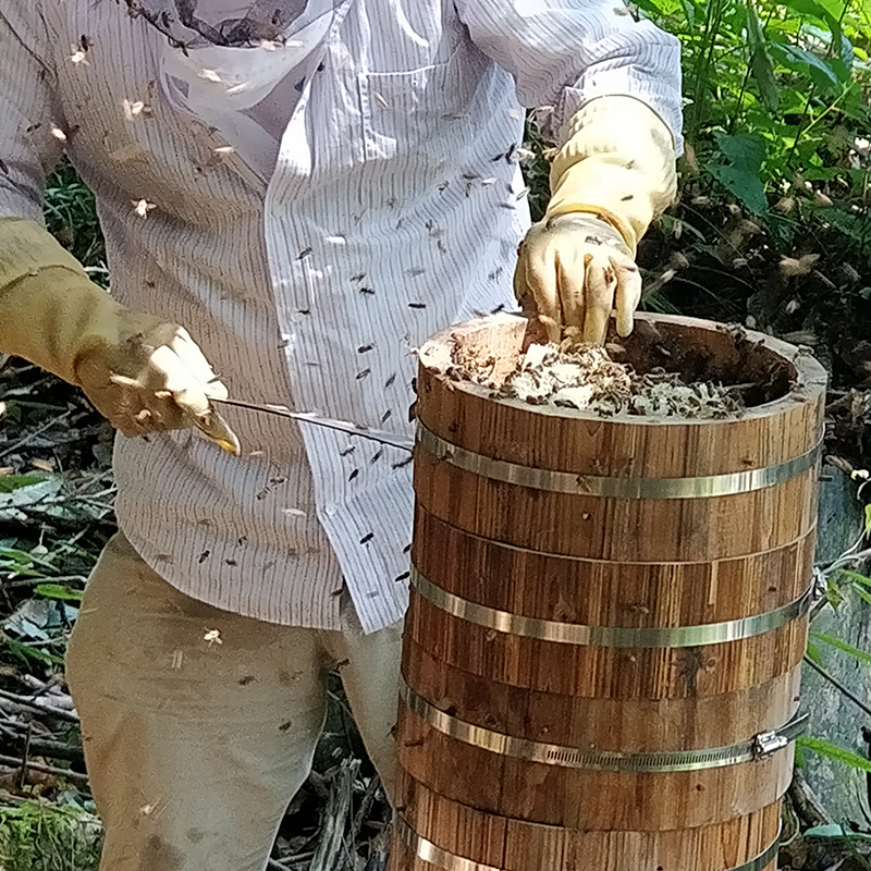蜂场一角